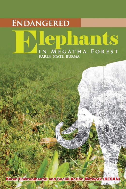Endangered Elephants in Megatha Forest