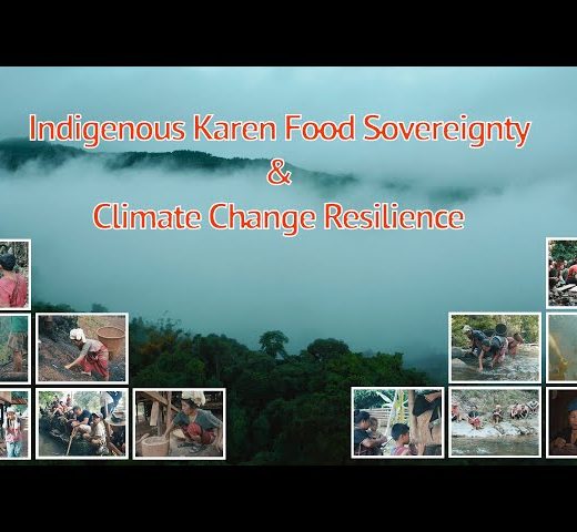 Indigenous Karen Food Sovereignty & Climate Change Resilience
