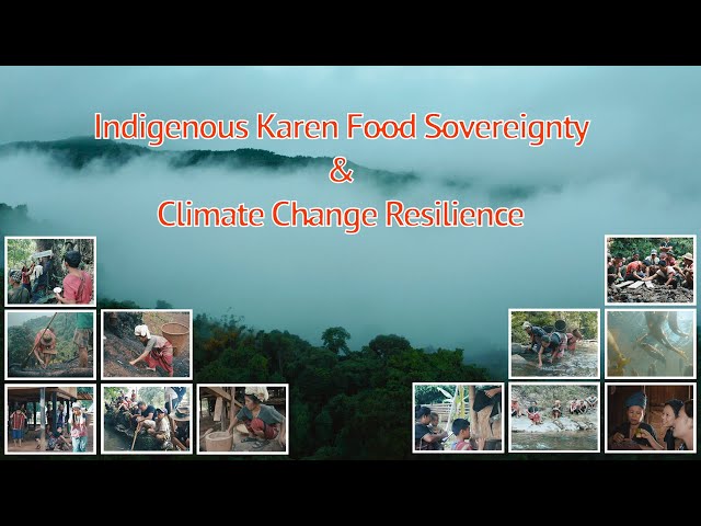 Indigenous Karen Food Sovereignty & Climate Change Resilience